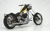 2011 Saxon Whip photo